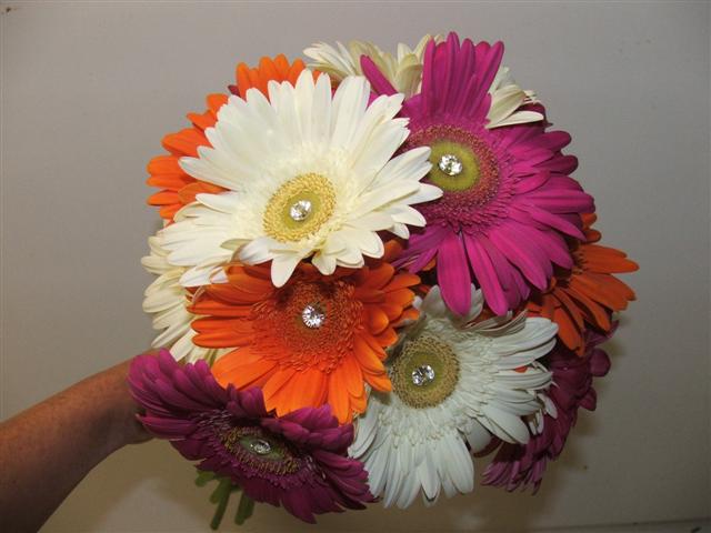 2010junegerbs2/closeup2s.jpg