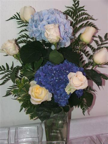 august2011/491.jpg
