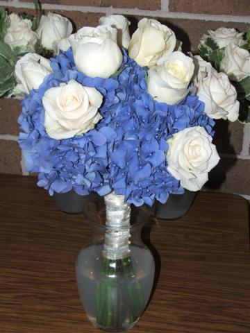 august20112/511.jpg