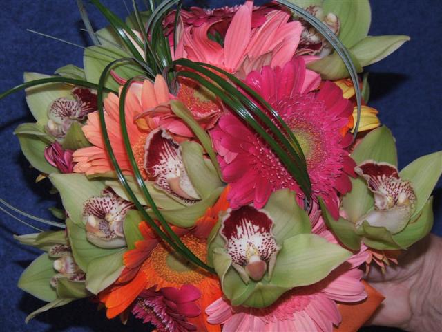 bestofjuly10/ybbouts.JPG