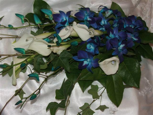 blueorchids/027.jpg