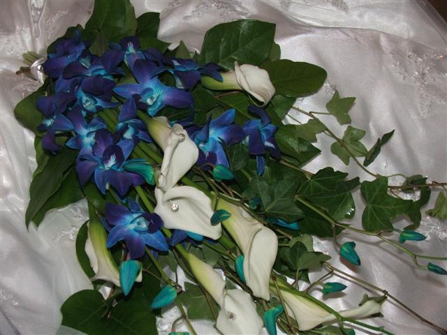 blueorchids2/058.jpg