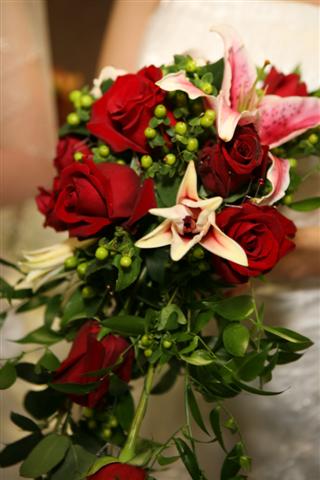 bridalshowphotos/yellowrose.jpg