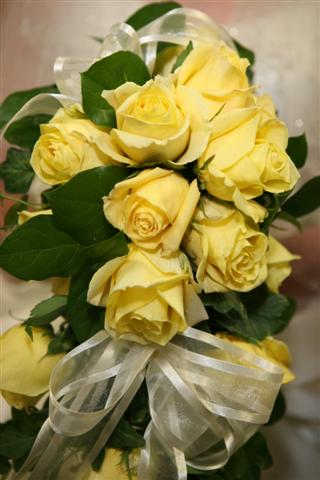 bridalshowphotos/yellowrose.jpg