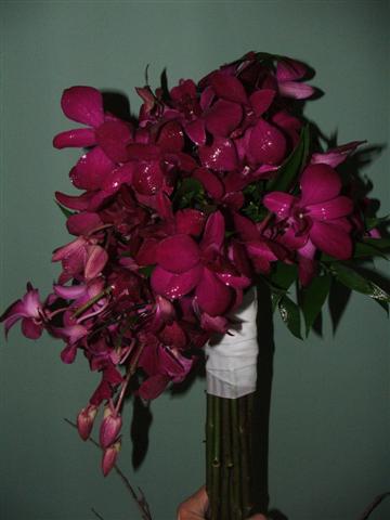 july2011/orchidssmallbetter.jpg