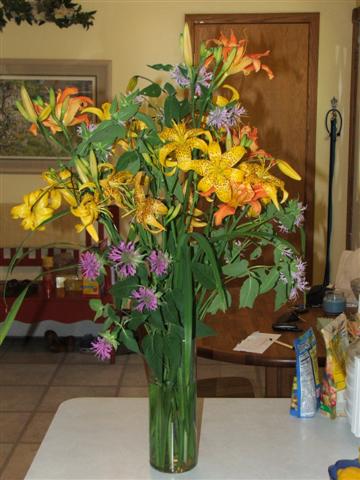 july2011/orchidssmallbetter.jpg
