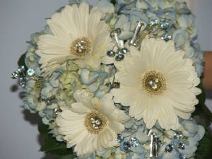 weddings/star.JPG.w300h225.jpg